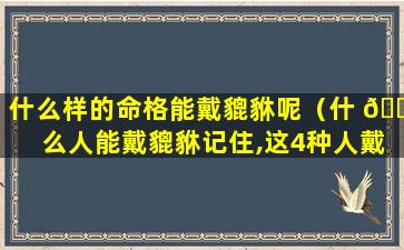 什么样的命格能戴貔貅呢（什 🕷 么人能戴貔貅记住,这4种人戴着最好!）